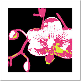 Modern Orchid Posters and Art